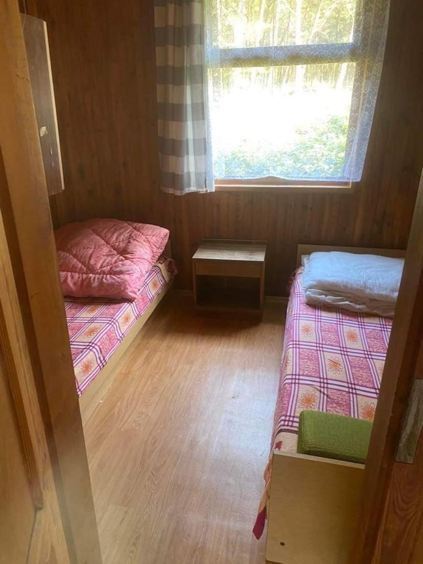 Domki Szumi Las Мжежино Экстерьер фото