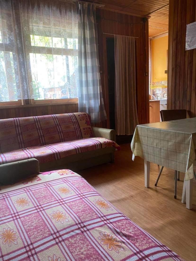 Domki Szumi Las Мжежино Экстерьер фото